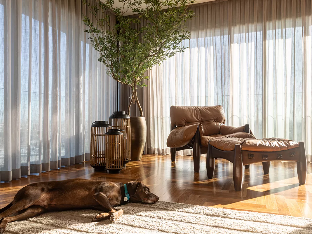 Cortinas Tradicionais